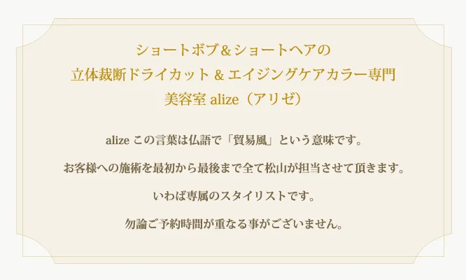 ショートボブ＆ショートヘアの
立体裁断ドライカット&エイジングケアカラー専門 alize（アリゼ）